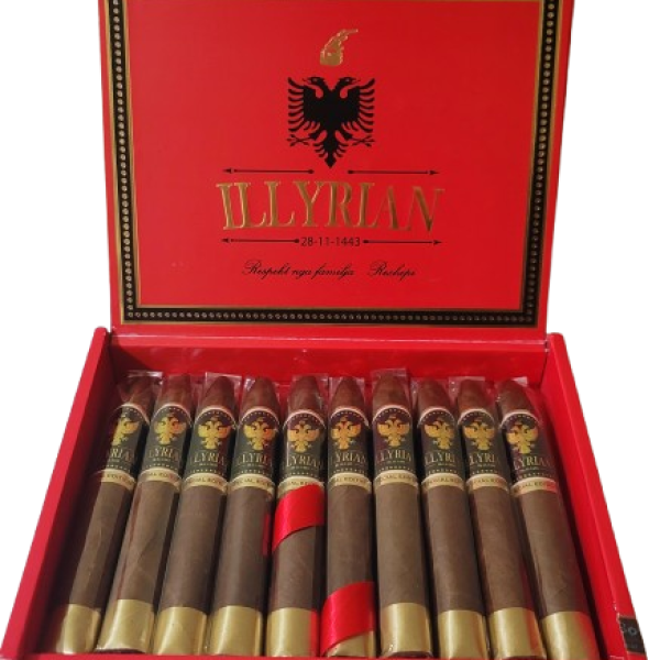 Torpedo Illyrian 52×6 (10 copa ne kuti)