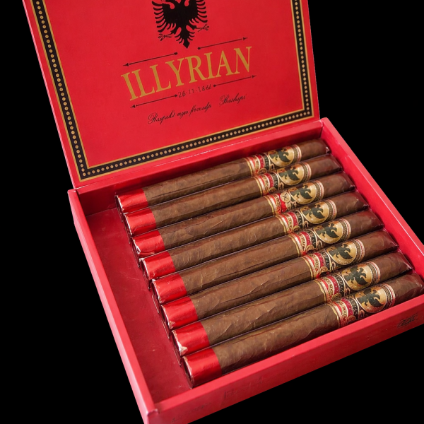 Churchil Illyrian 50x7 (box 8)